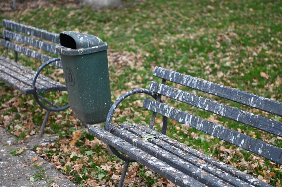 Toate băncile din curtea Spitalului Vechi sunt murdărite de ciori
