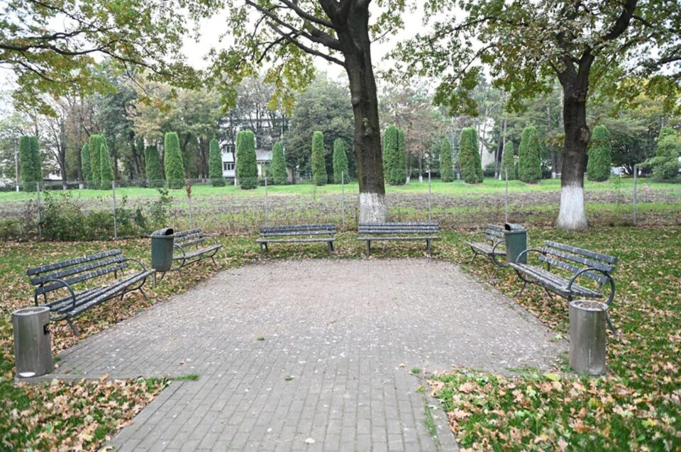 Plângere penală pentru distrugerea cuiburilor de ciori din curtea Spitalului „Sf. Ioan cel Nou” Suceava, făcută de Garda de Mediu