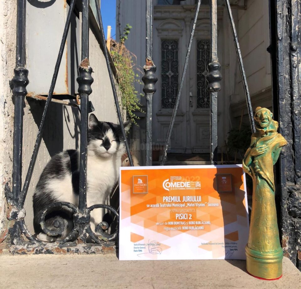 Premiul special al al juriului la Festivalul Național de Comedie, prezentat de Trupa Fără Zahăr