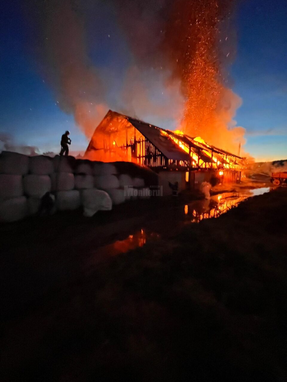 Mobilizare importantă de forțe pentru stingerea unui incendiu izbucnit la un adăpost de animale