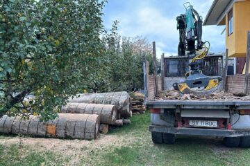 Camionul care a descărcat în curtea Poliției Arbore