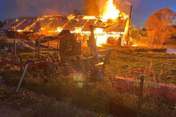 Incendiul care a cuprins un adăpost de animale din Coșna