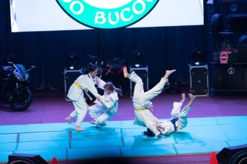 Momente artistice din spectacol