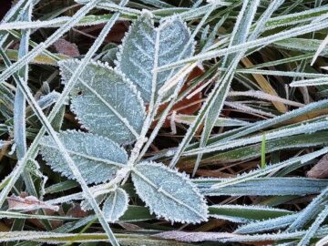 Cea mai friguroasă noapte din octombrie, cu -2,9 grade Celsius la Suceava