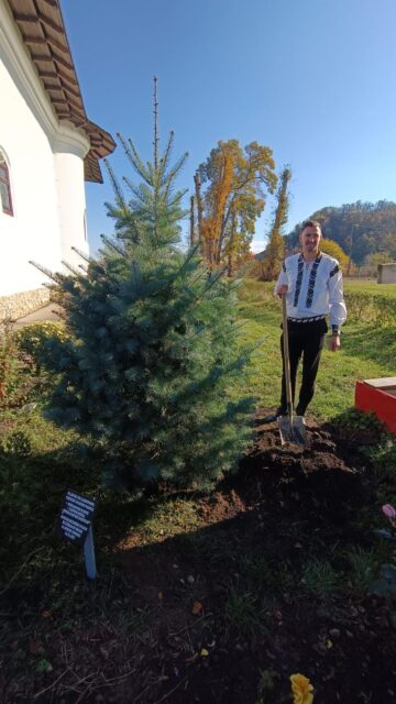 Marius Cozmiuc a plantat un brad în curtea bisericii din Costâna