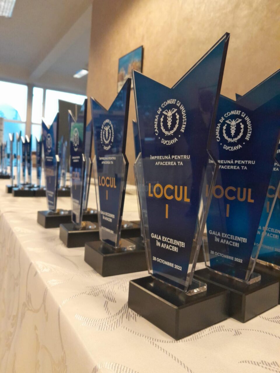 Topul județean al firmelor