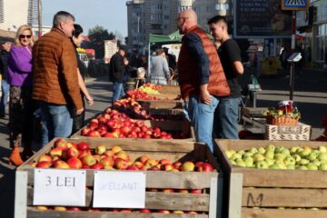 Târgul Mărului, ediția a XVII-a, la Fălticeni