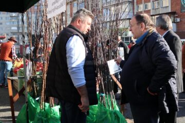 Târgul Mărului, ediția a XVII-a, la Fălticeni