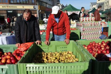 Târgul Mărului, ediția a XVII-a, la Fălticeni