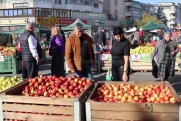 Târgul Mărului, ediția a XVII-a, la Fălticeni