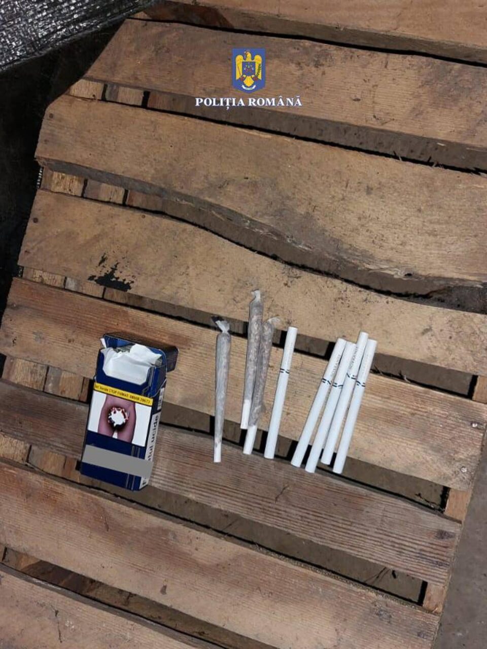 Droguri aruncate pe jos când polițiștii au descins la o petrecere care avea loc în Burdujeni