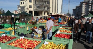 Târgul Mărului, ediția a XVII-a, la Fălticeni