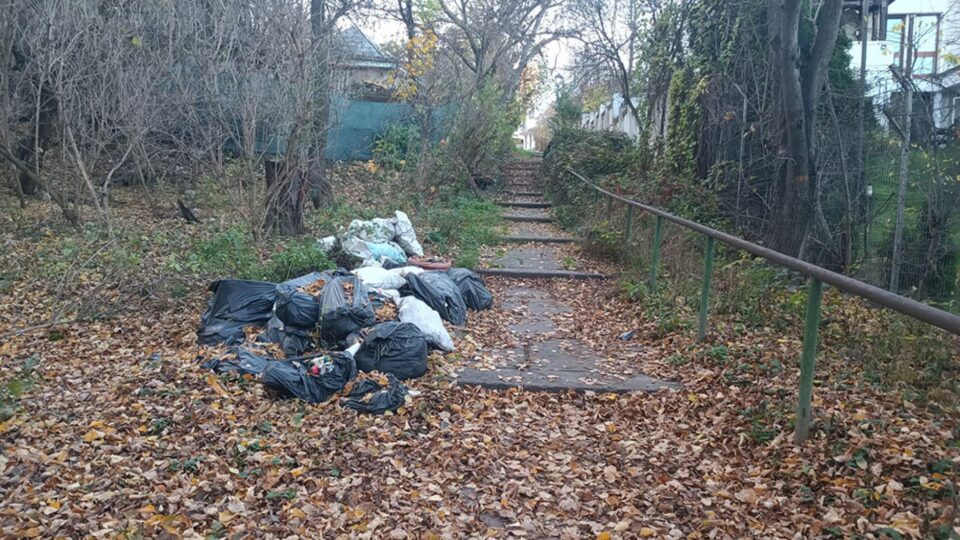 Mai mulți saci cu gunoaie, abandonați în parcul Șipote