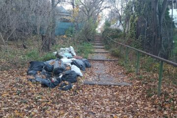 Mai mulți saci cu gunoaie, abandonați în parcul Șipote