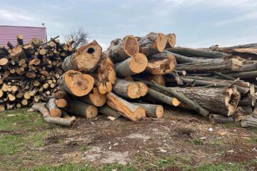 Materialul lemnos din curtea școlii din Dornești ar fi, în realitate, în cantitate mai mică decât s-a achiziționat în acte