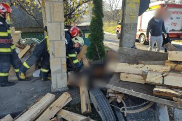 Căruțaș rănit și cal mort după un accident produs miercuri dimineață