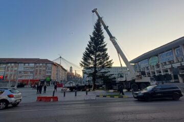 Bradul a fost adus de la Ocolul Silvic Fălticeni, din zona Cornu Luncii, iar ornarea sa va începe de luni
