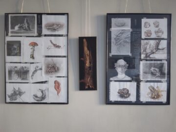 Expoziție semnată de artistul Sorin Baciu, la Galeria de Artă „Ion Irimescu” Suceava
