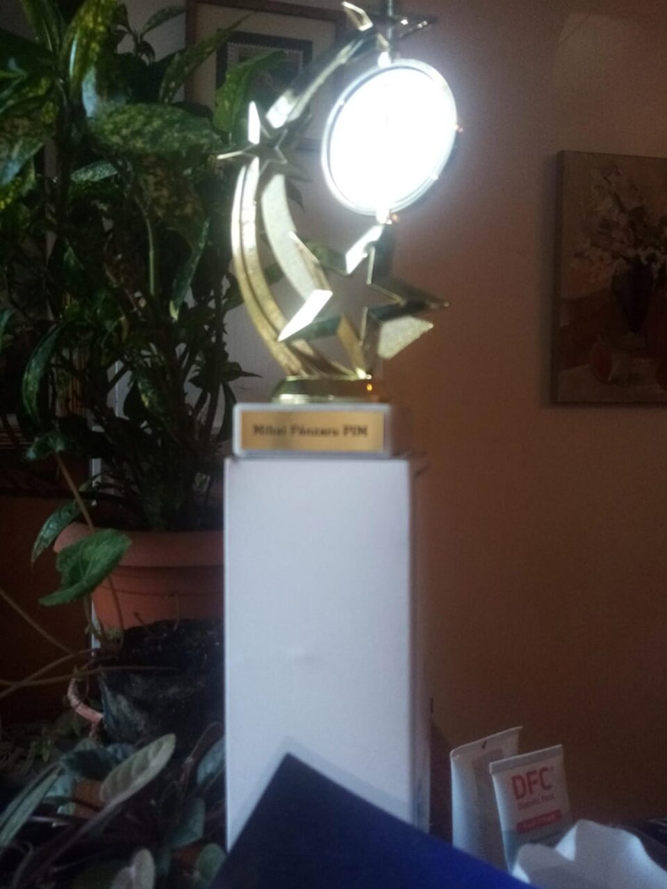 Maestrul Mihai Pânzaru PIM a primit un trofeu și o Diplomă de excelență pentru profesionalism și performanță în mass-media