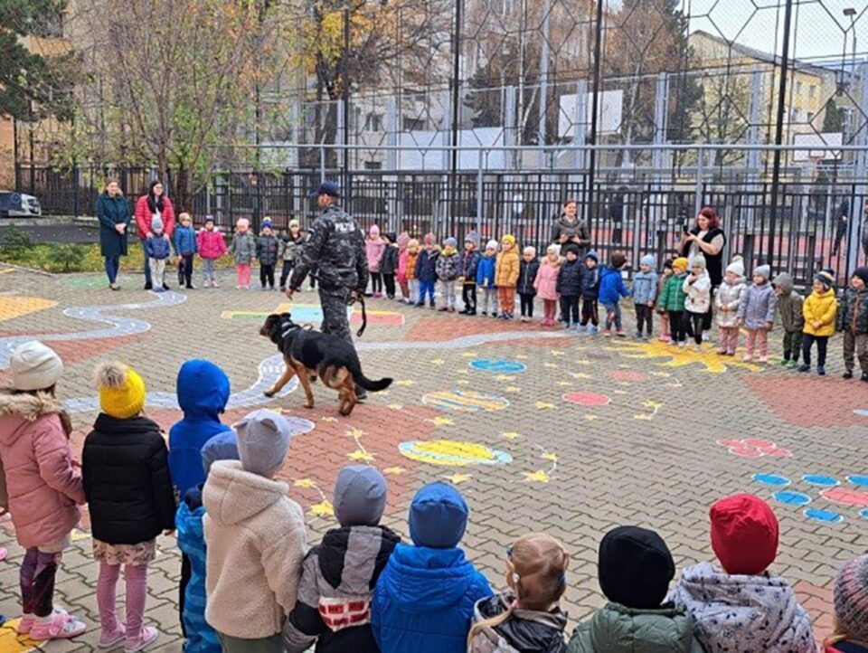 Activități educative din cadrul proiectului ,,Micii pietoni”, la Grădinița Prichindel Activități educative din cadrul proiectului ,,Micii pietoni”, la Grădinița Prichindel