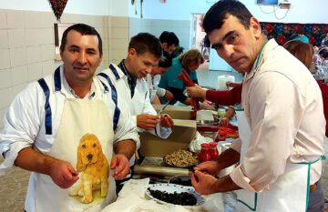 Centrul de recuperare și reabilitare neuropsihiatrică Costâna, 50 de ani de activitate