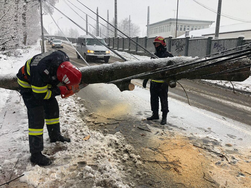 Arbori rupți sub greutatea zăpezii, în mai multe zone ale municipiului Suceava 2