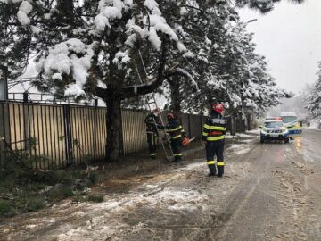 Arbori rupți sub greutatea zăpezii, în mai multe zone ale municipiului Suceava