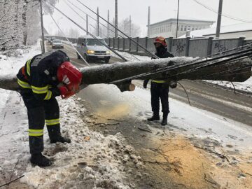 Arbori rupți sub greutatea zăpezii, în mai multe zone ale Sucevei