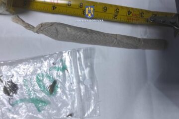 Substanțe interzise ridicate în timpul raziei