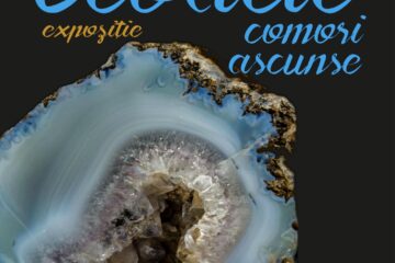 Expoziția temporară „Geodele – Comori Ascunse”, la Muzeul de Științele Naturii