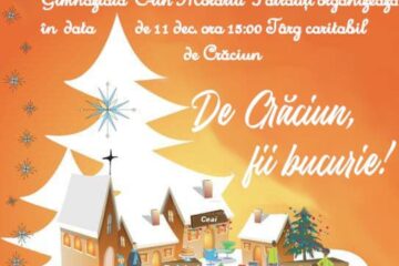 Târgul caritabil „De Crăciun, fii mai bun!”, la Pătrăuți