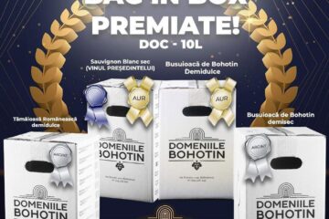 Dezlegare la vin - Vinurile la Bag-in-Box și Cramele Bucium