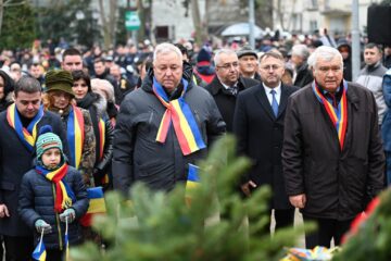 Delegatia PSD