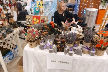 Expoziție dedicată Zilei Internaționale a Persoanelor cu Dizabilități, la Iulius Mall Suceava