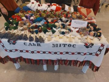 Zeci de produse lucrate cu multă migală de persoane cu nevoi speciale,