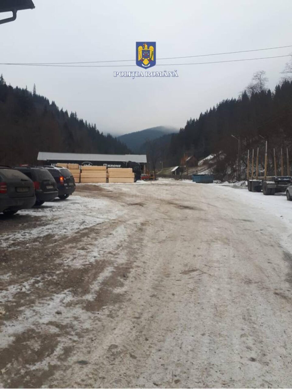 Amenzi mari și peste 110 mc lemn confiscat de la depozite care au emis avize fictive de transport