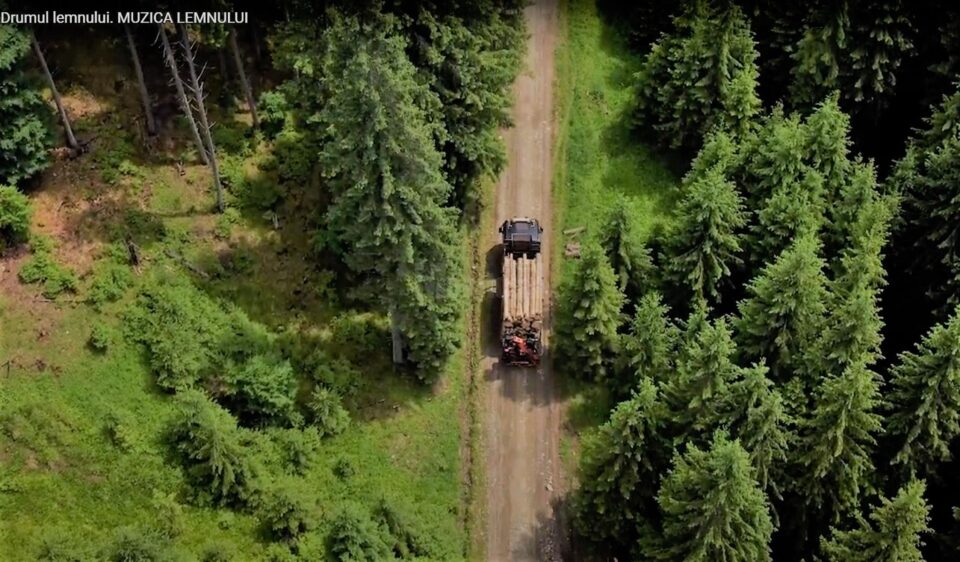 „Drumul lemnului. Muzica lemnului” – al doilea film documentar produs de ASFOR