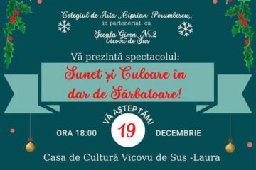 Spectacolul caritabil „Sunet și Culoare în dar de Sărbătoare!”, la Casa de Cultură Vicovu de Sus - Laura