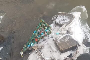 Doi „viteji” au aruncat în râul Dorna „brăduțul copilăriei” împodobit de preșcolarii unei grădinițe din Vatra Dornei