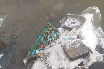 Doi bărbați au fost amendați după ce au aruncat un brăduț al copilăriei în apele râului Dorna