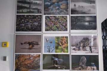 Cele mai bune fotografii ale Salonului Internațional de Artă Fotografică „Bucovina Mileniul III”, expuse la Muzeul de Istorie