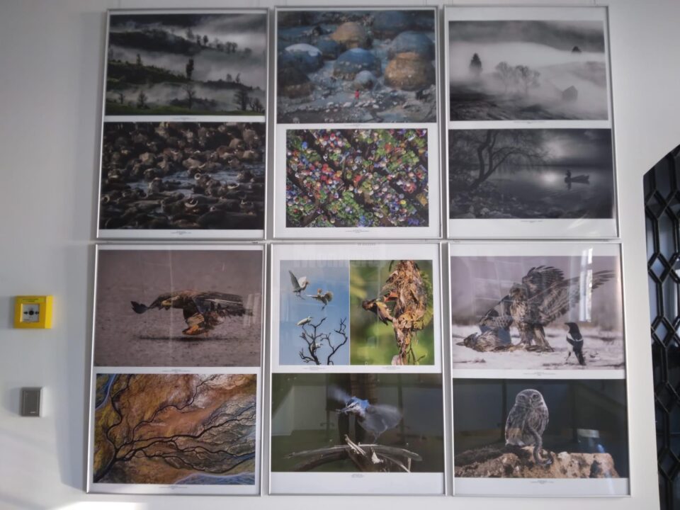 Cele mai bune fotografii ale Salonului Internațional de Artă Fotografică „Bucovina Mileniul III”, expuse la Muzeul de Istorie