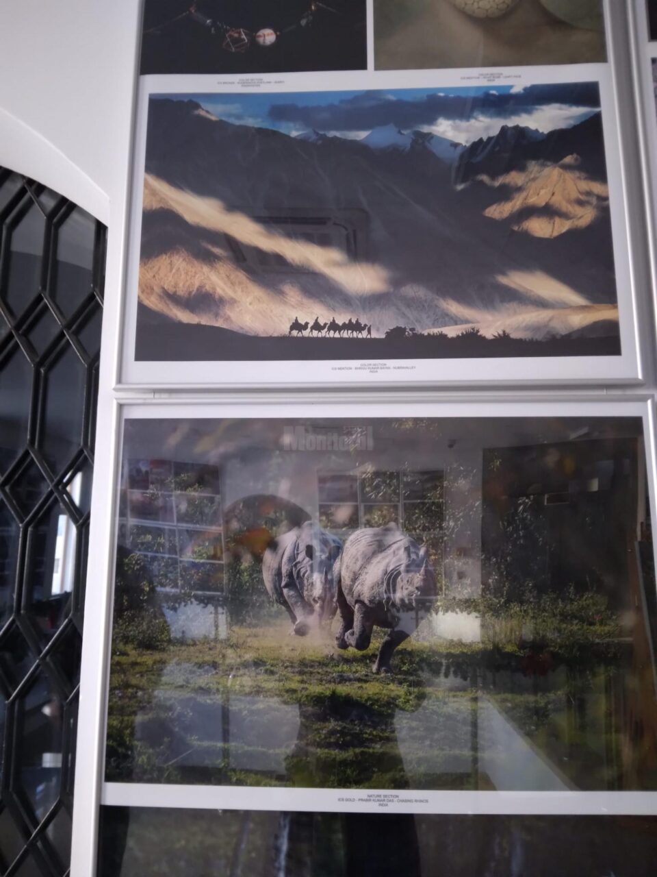Artistul vizual Ovidiu Ambrozie Bortă BOA