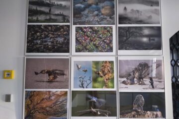 Cele mai bune fotografii ale Salonului Internațional de Artă Fotografică „Bucovina Mileniul III”, expuse la Muzeul de Istorie