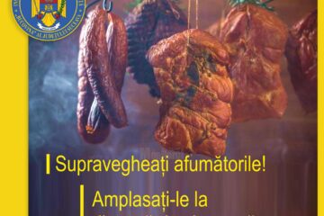Șapte incendii în 24 de ore, cele mai multe de la afumători