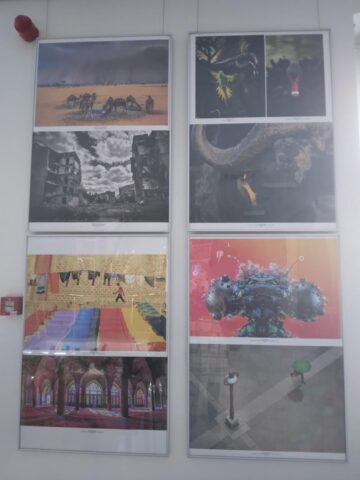 Cele mai bune fotografii ale Salonului Internațional de Artă Fotografică „Bucovina Mileniul III”, expuse la Muzeul de Istorie
