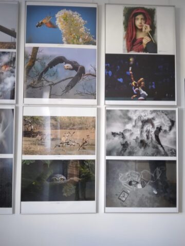 Cele mai bune fotografii ale Salonului Internațional de Artă Fotografică „Bucovina Mileniul III”, expuse la Muzeul de Istorie