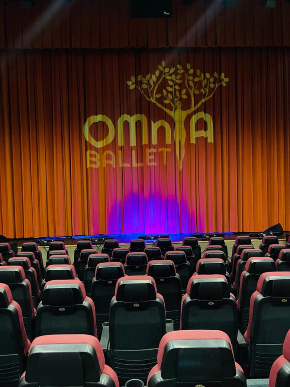 Omnia Ballet Suceava