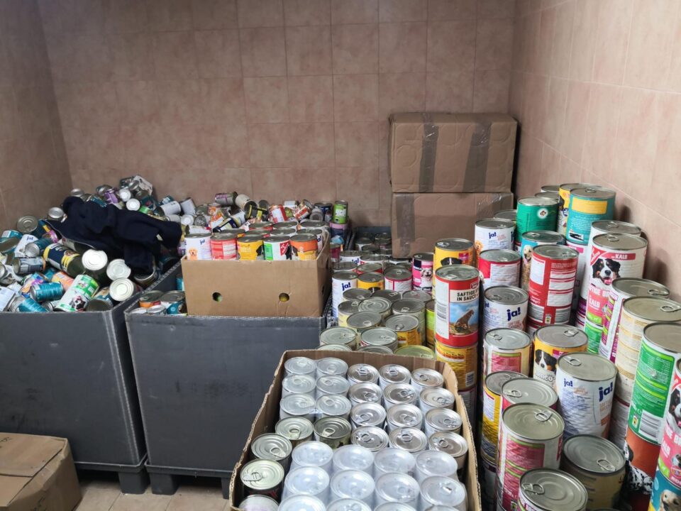 Peste 18 tone de alimente pentru câini – hrană uscată și hrană umedă, au ajuns la adăpostul de animale al Sucevei, din Germania