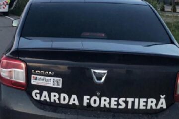 Garda Forestieră